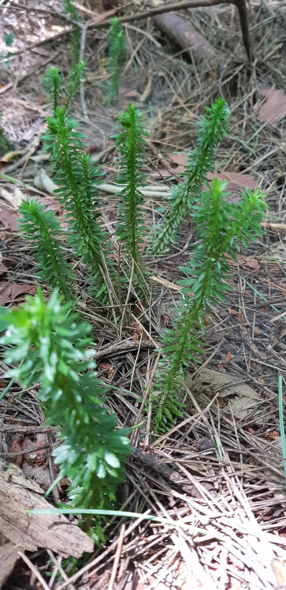 20180802_113556.jpg?type=w966