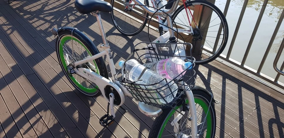 20180901_084613.jpg?type=w966