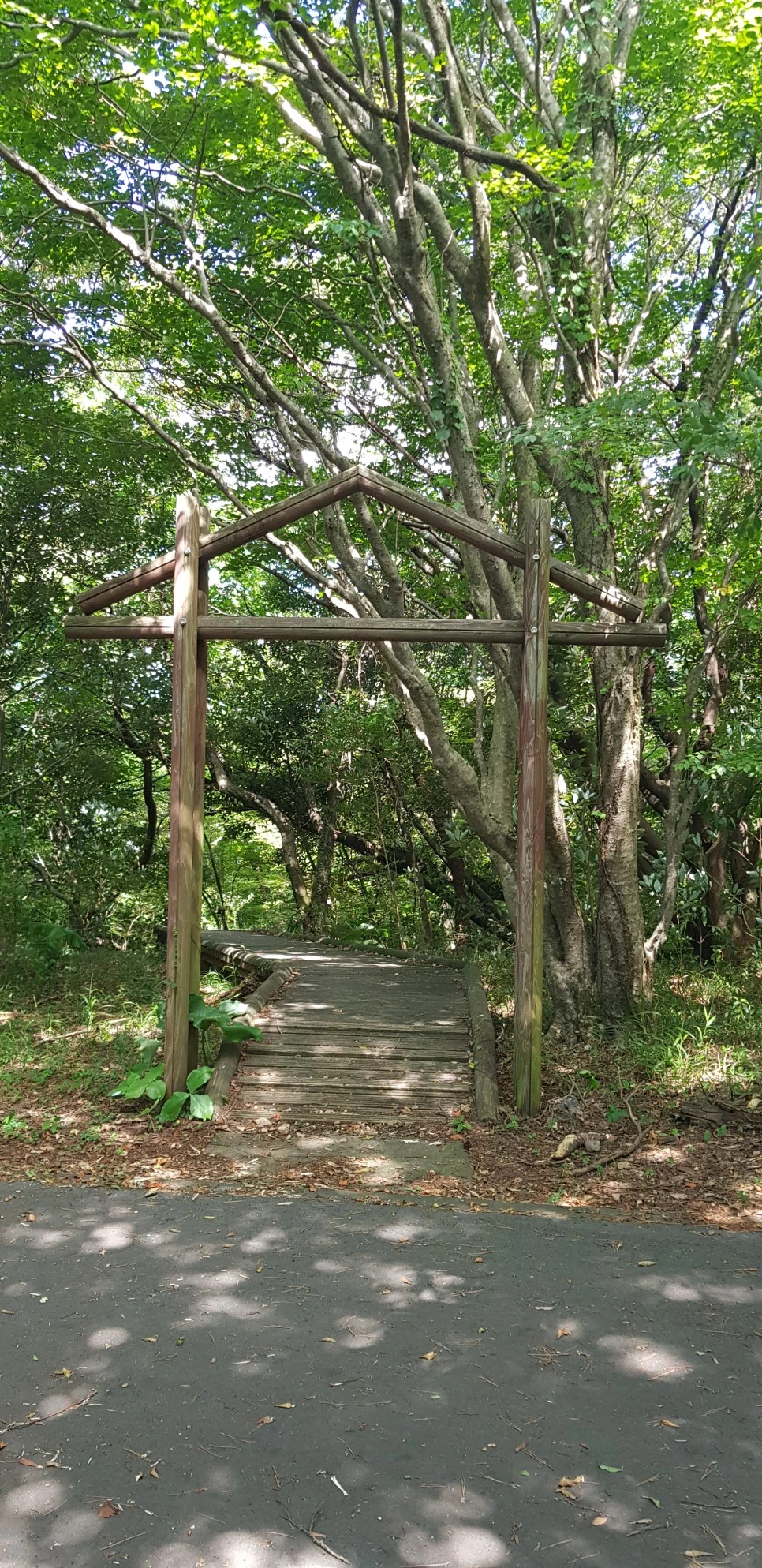 20180802_101549.jpg?type=w966