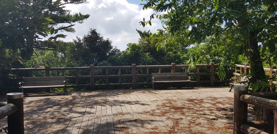 20180802_101510.jpg?type=w966