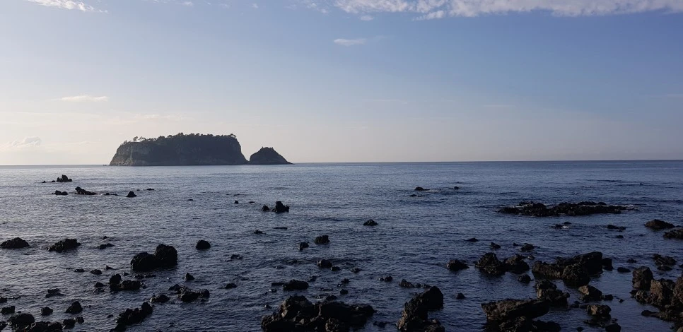 20180922_073916.jpg?type=w966