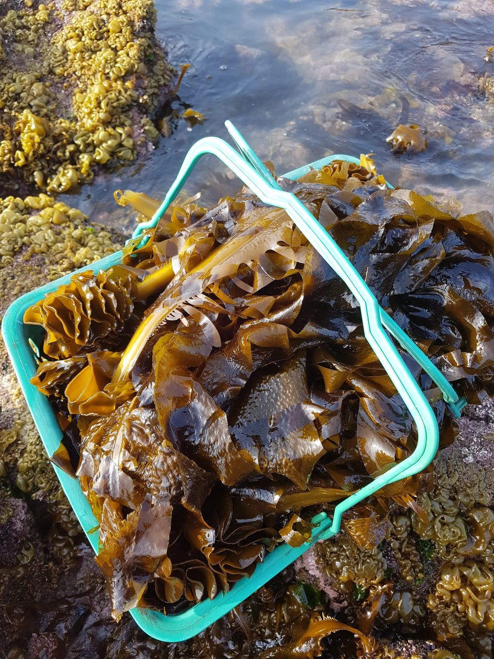 20170329_162839.jpg?type=w966