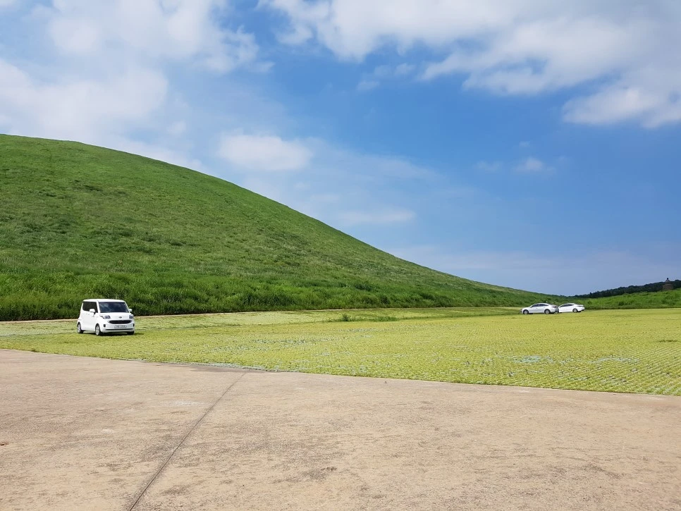 20160826_143200.jpg?type=w966