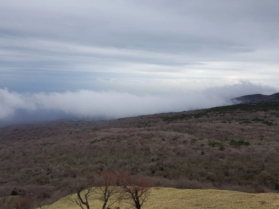 20161204_130352.jpg?type=w966