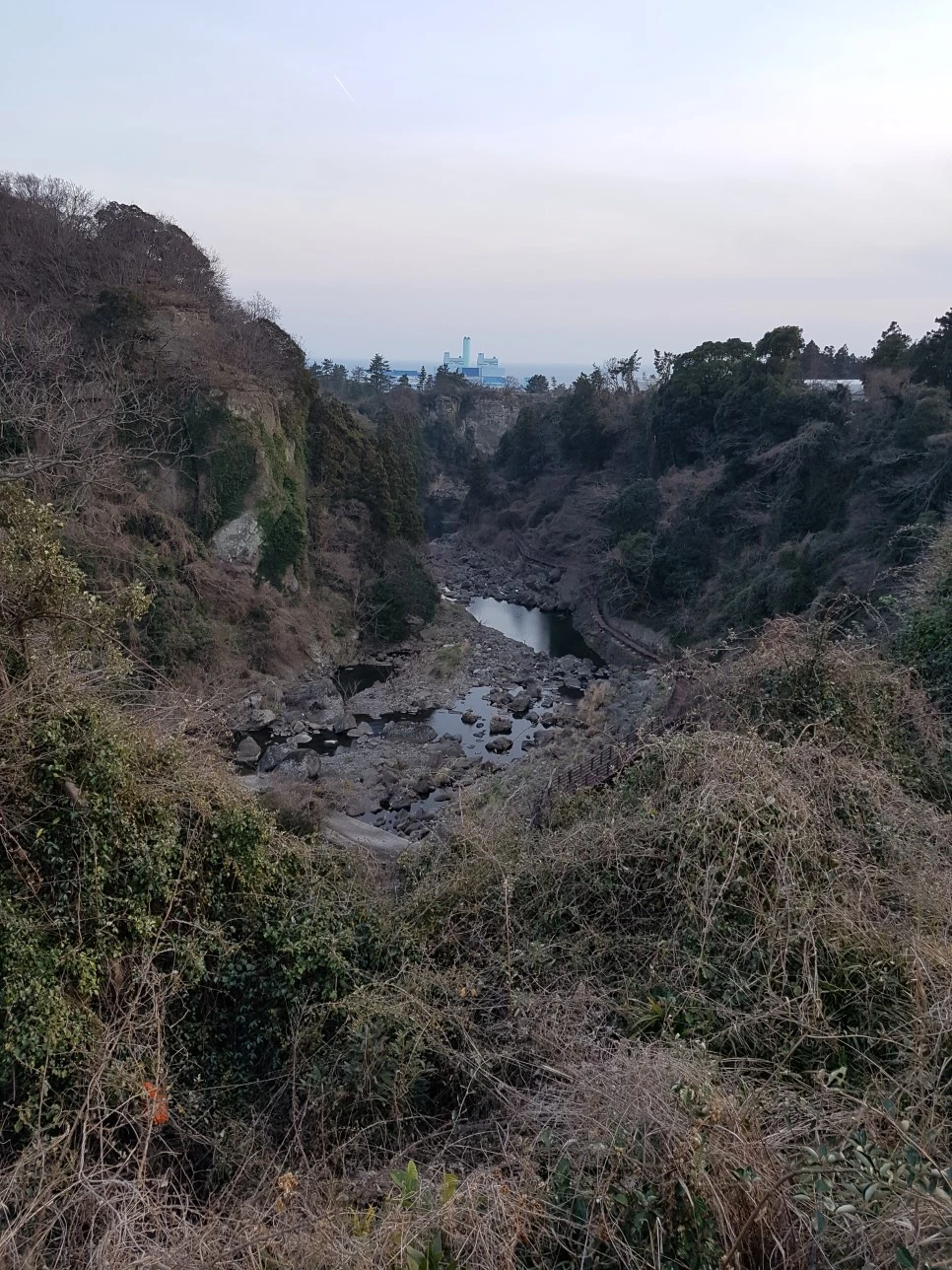 20170305_181737.jpg?type=w966