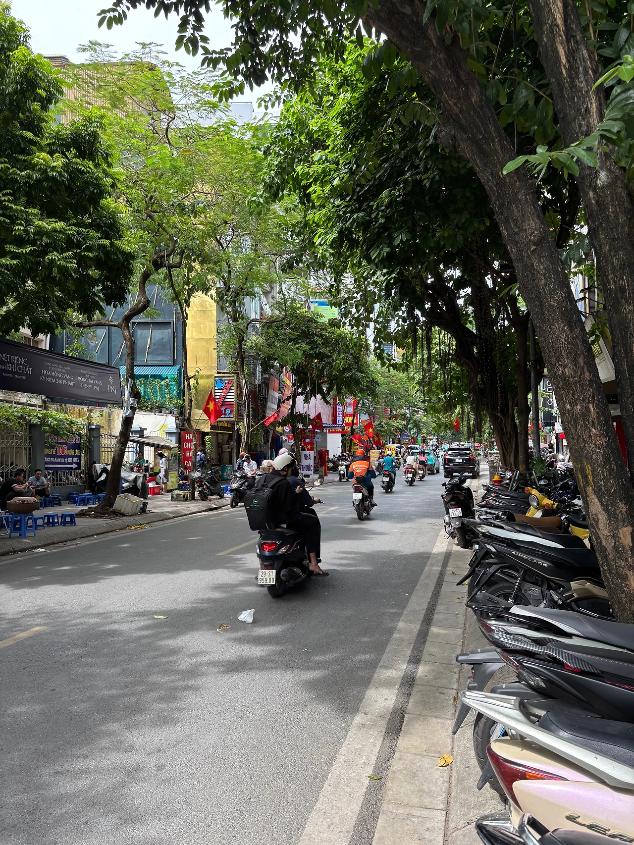 IMG_5428 - 복사본.JPG