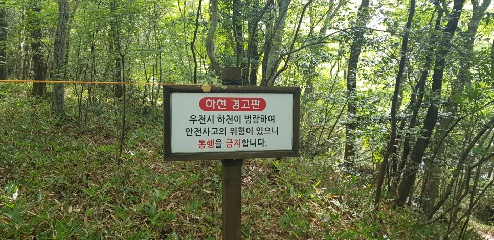 20180802_102659.jpg?type=w966