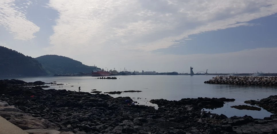 20180922_151747.jpg?type=w966