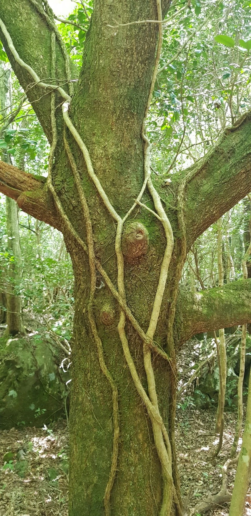 20180802_114448.jpg?type=w966