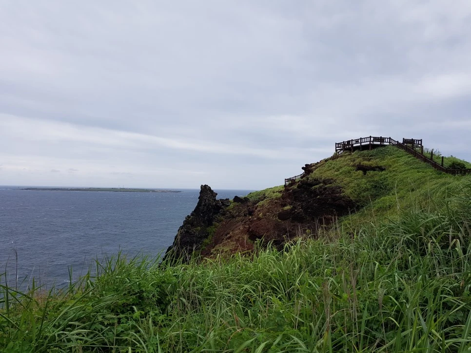 20160827_123542.jpg?type=w966