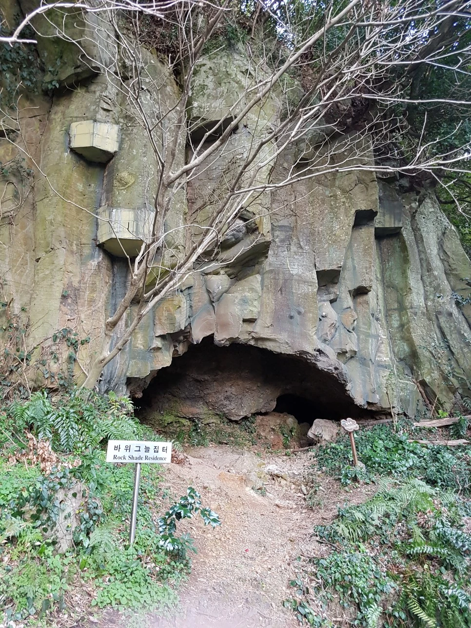 20170305_175445.jpg?type=w966