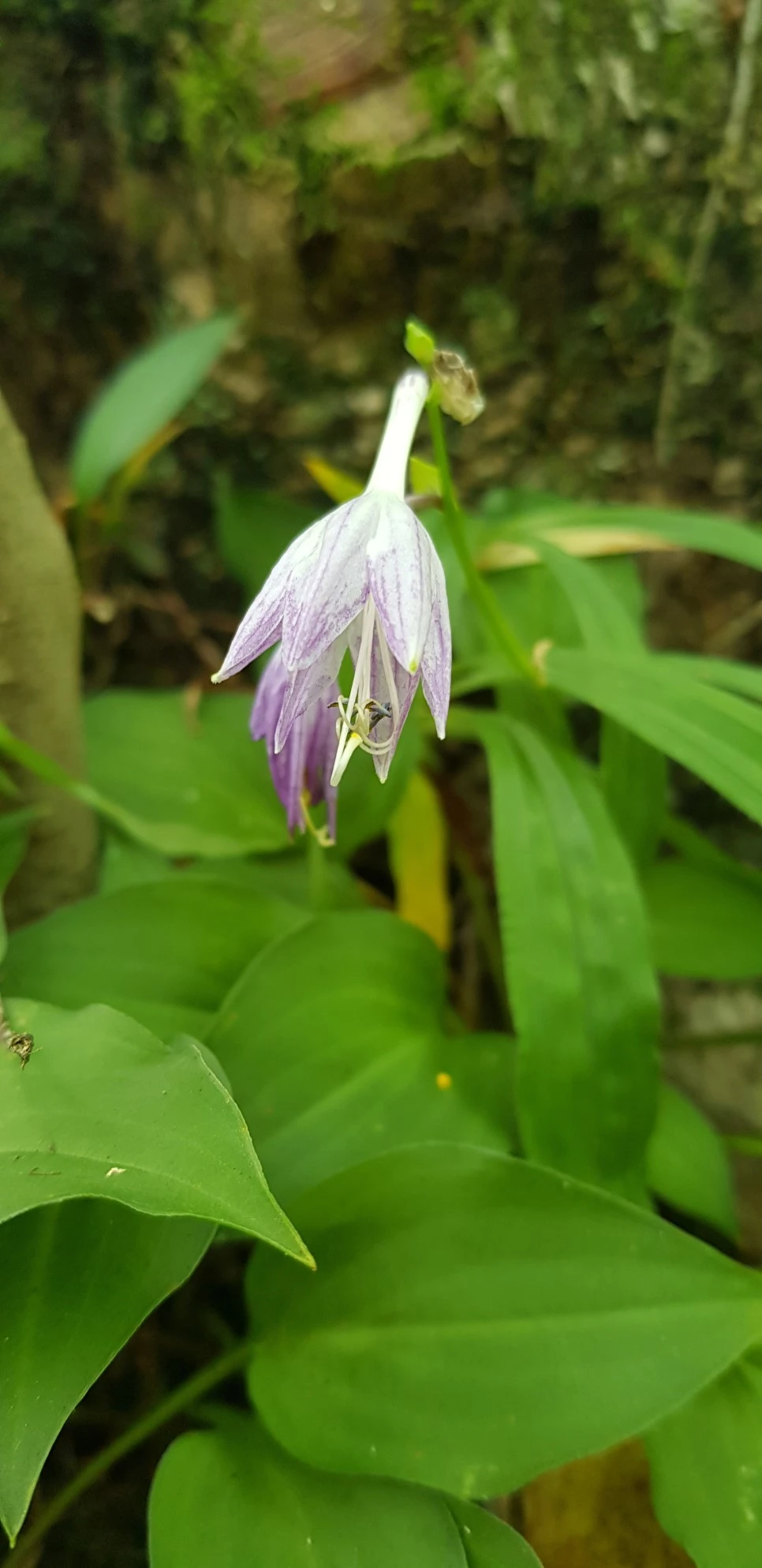 20180802_115536.jpg?type=w966