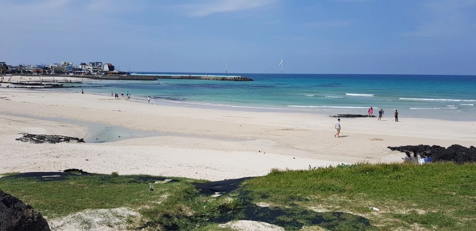 20180922_134411.jpg?type=w966