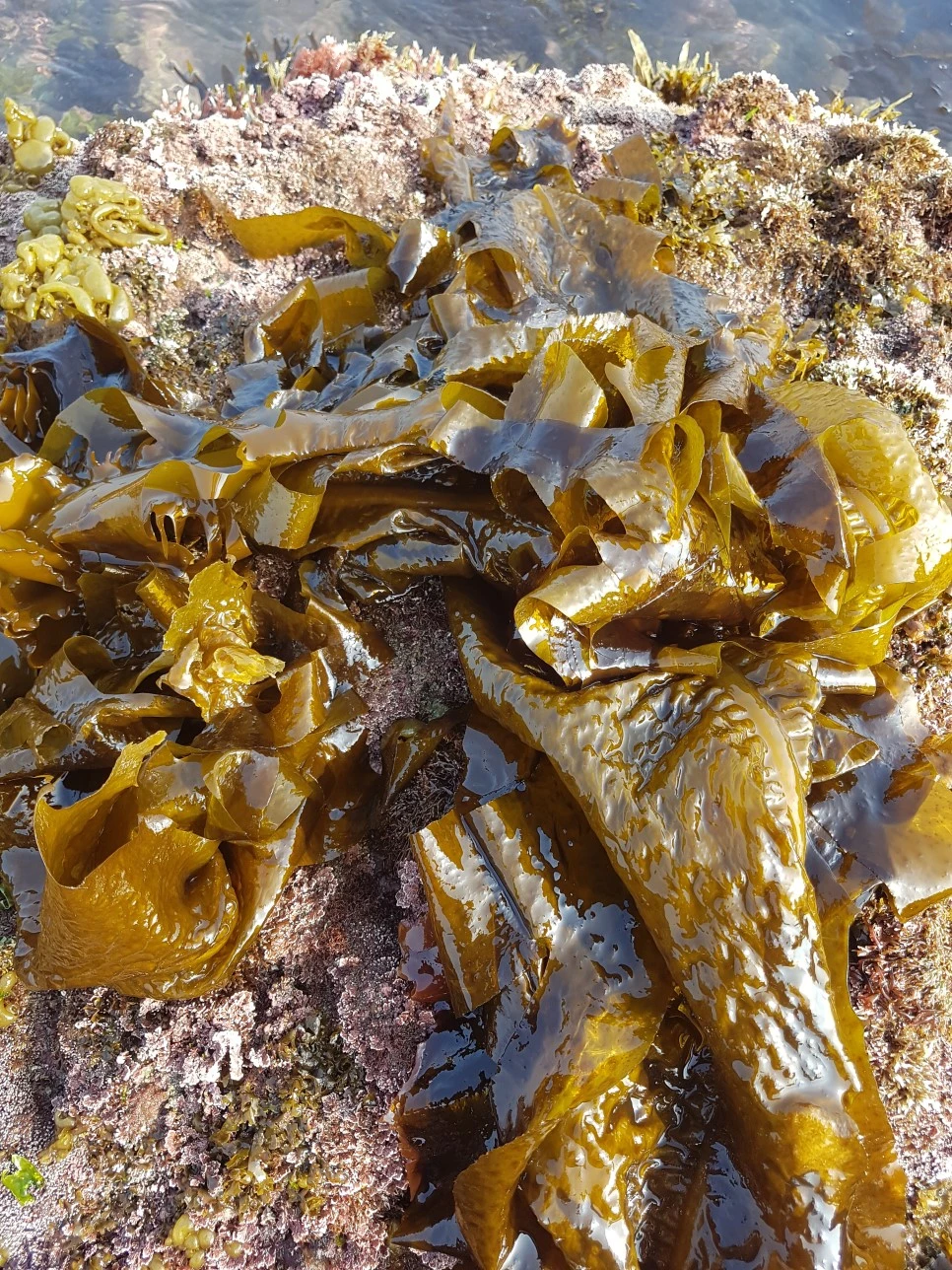 20170329_161014.jpg?type=w966