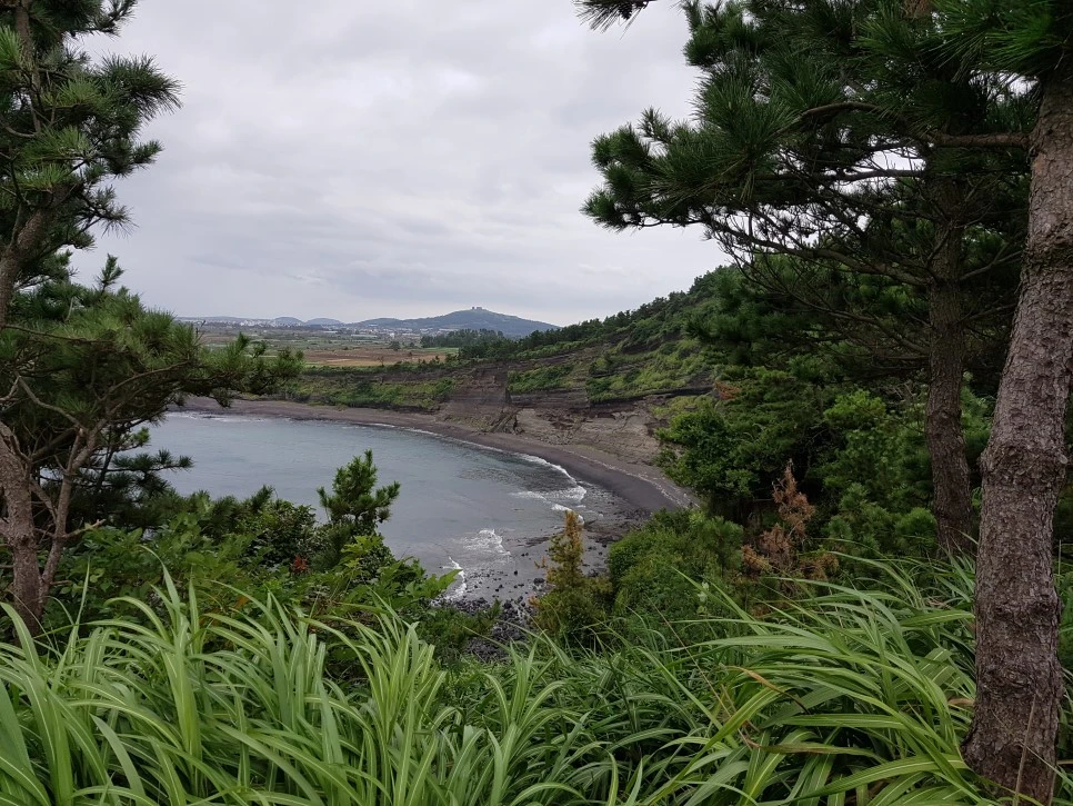 20160827_125705.jpg?type=w966