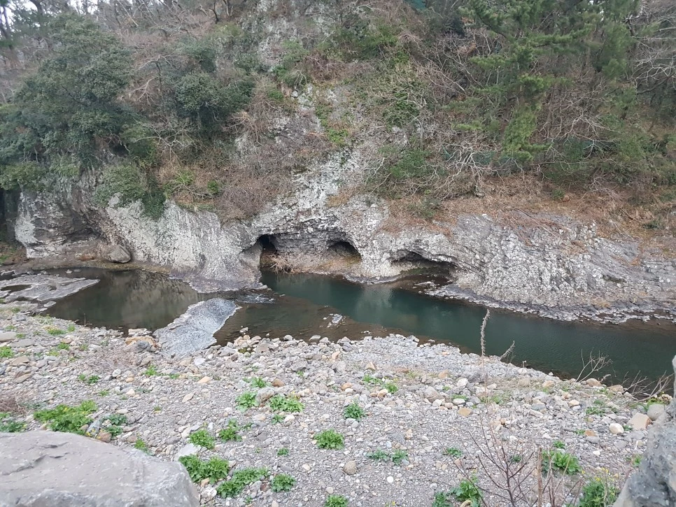 20170305_182844.jpg?type=w966