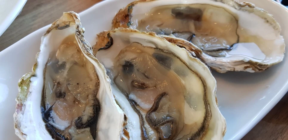 20181110_131552.jpg?type=w966