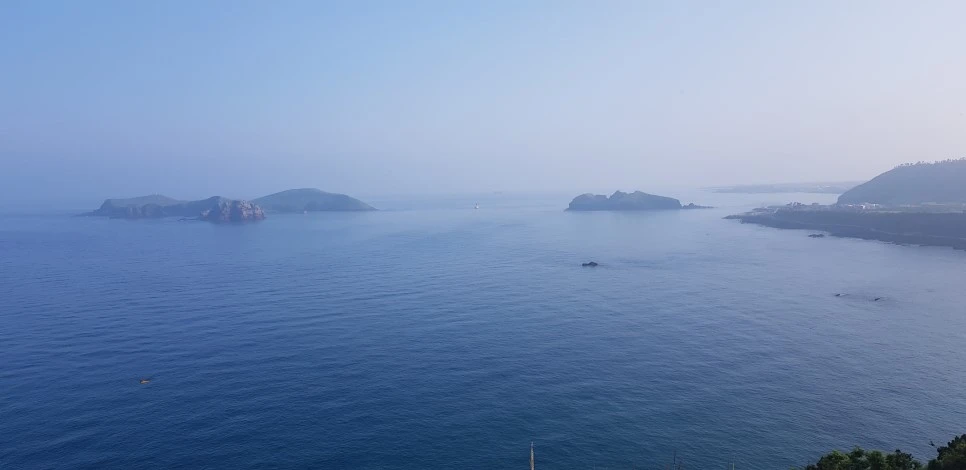 20180715_072222.jpg?type=w966