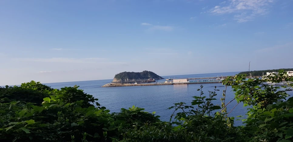 20180922_080357.jpg?type=w966