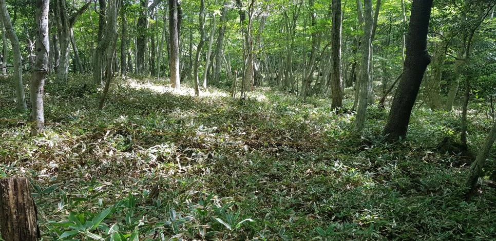 20180802_102957.jpg?type=w966