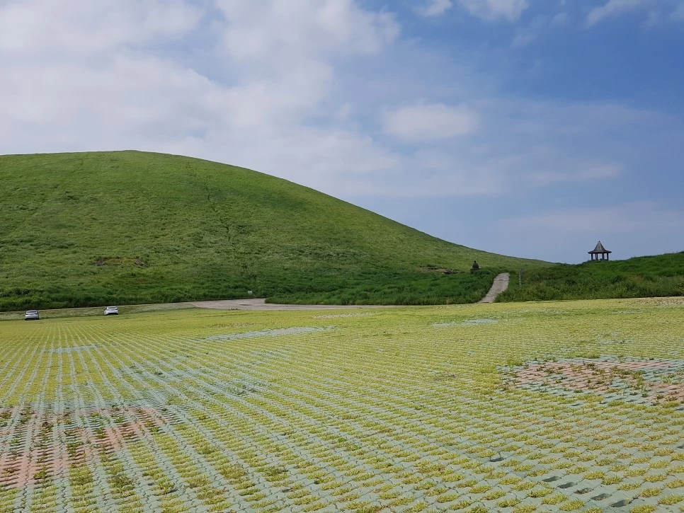 20160826_143223.jpg?type=w966