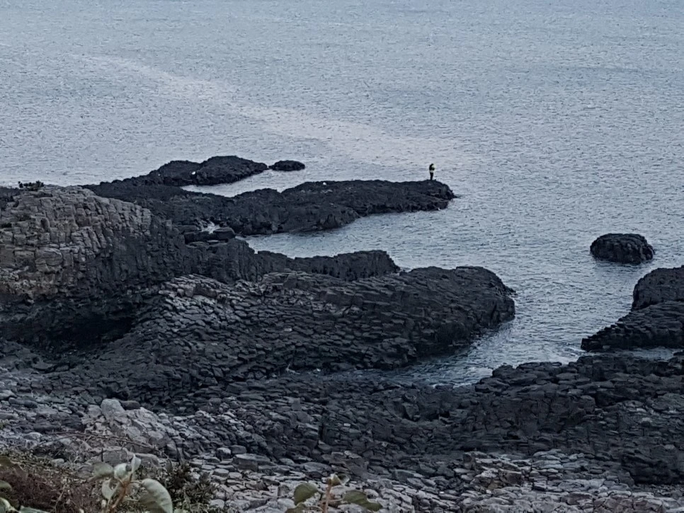 20170305_183413.jpg?type=w966