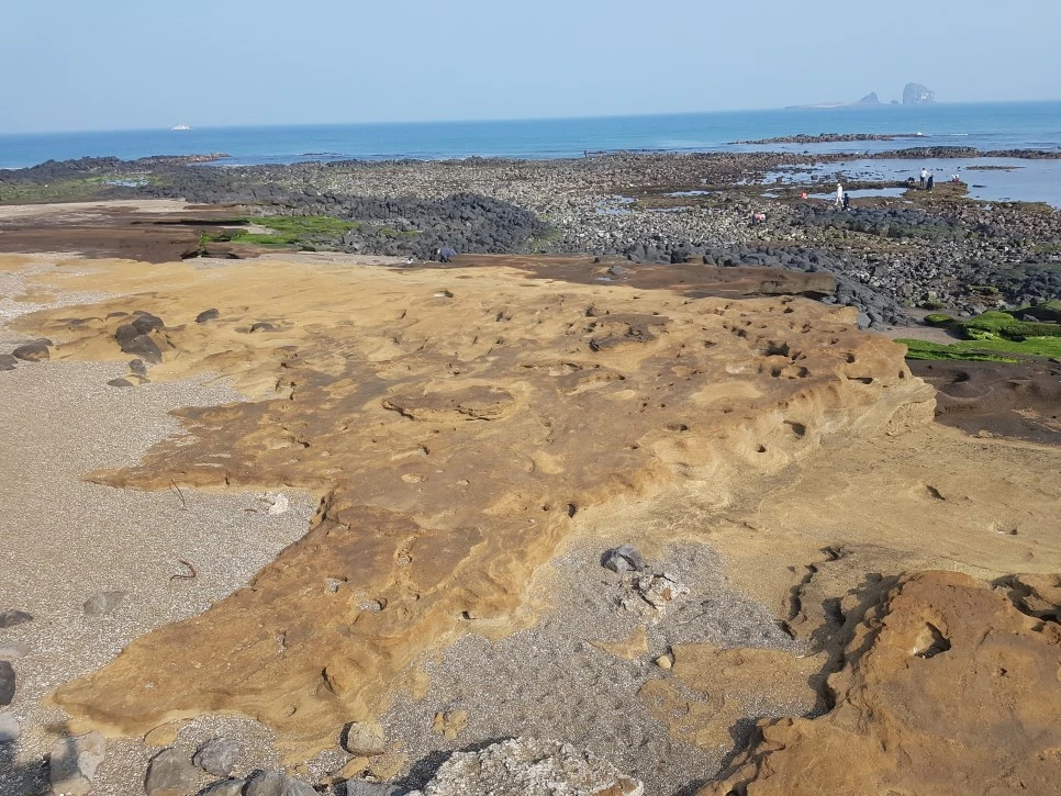 20170329_160414.jpg?type=w966