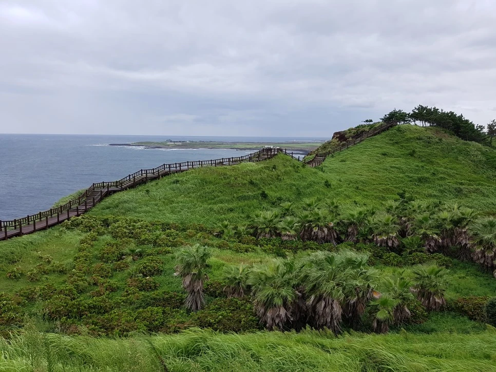 20160827_123708.jpg?type=w966