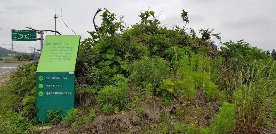 20180610_150812.jpg?type=w966