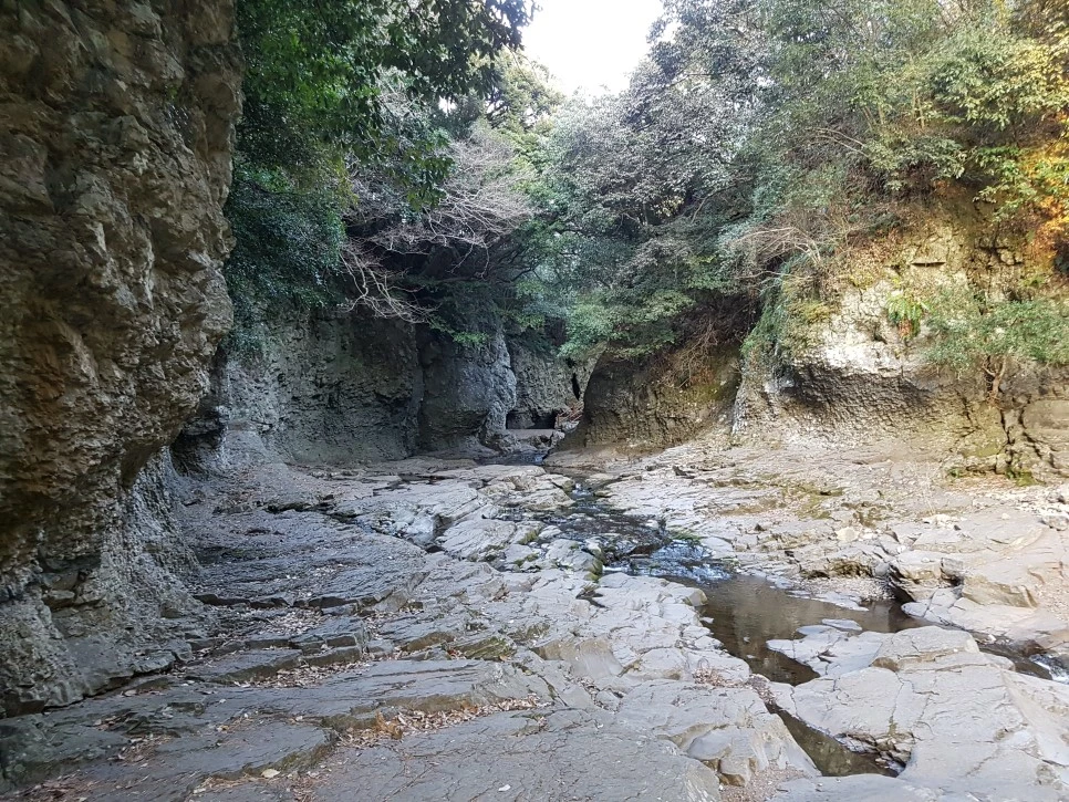 20170305_175639.jpg?type=w966