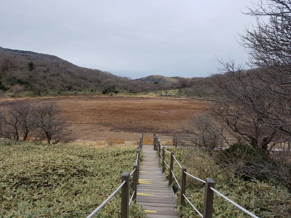 20161204_131500.jpg?type=w966