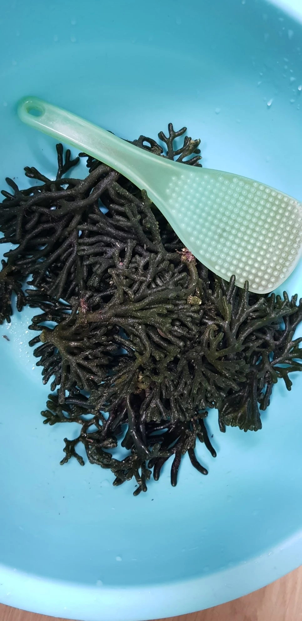 20180715_195356.jpg?type=w966