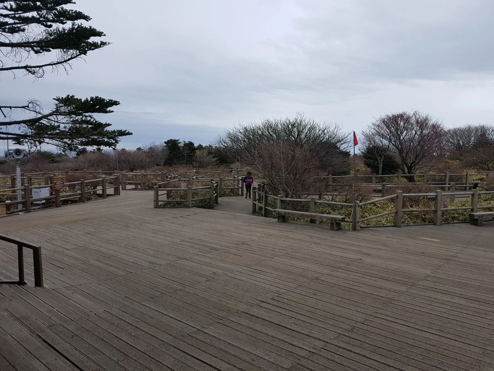 20161204_120721.jpg?type=w966