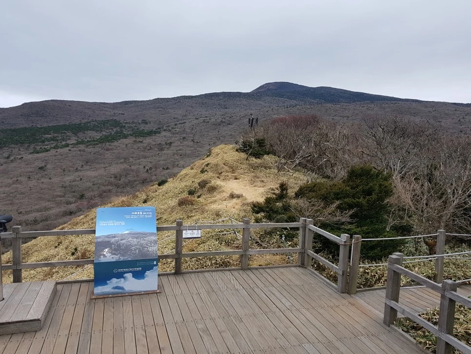 20161204_130424.jpg?type=w966