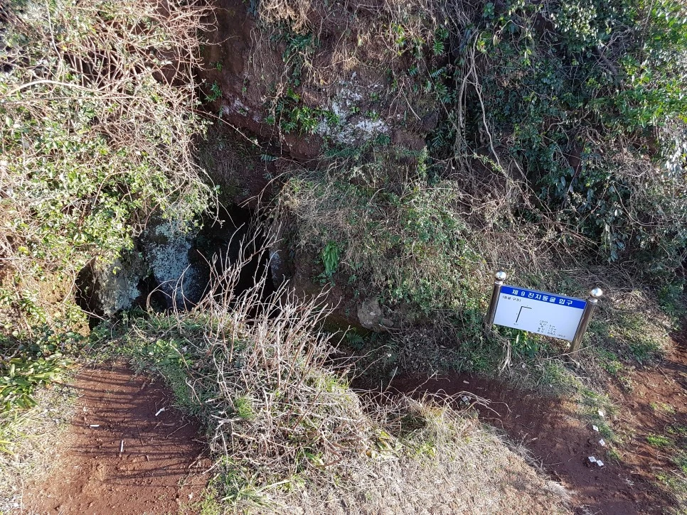 20170101_163022.jpg?type=w966