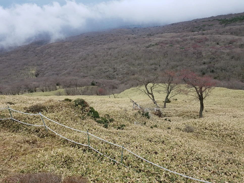 20161204_130400.jpg?type=w966