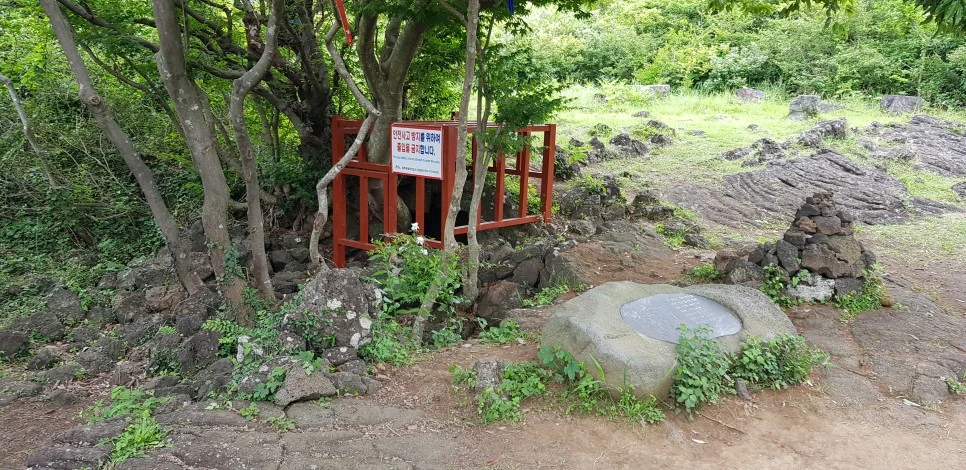 20180610_144451.jpg?type=w966