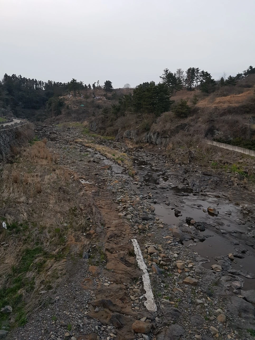 20170305_182401.jpg?type=w966