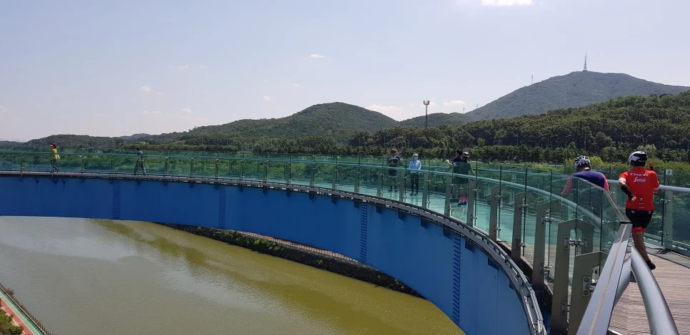 20180901_120355.jpg?type=w966