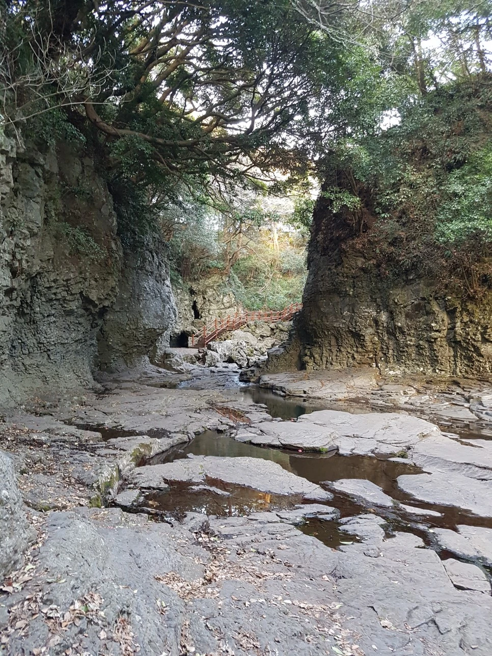 20170305_175718.jpg?type=w966