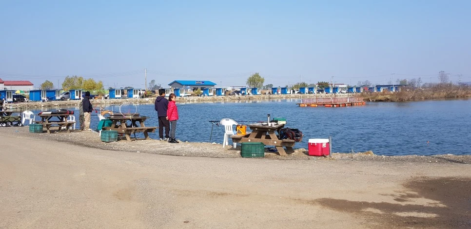 20181110_113827.jpg?type=w966