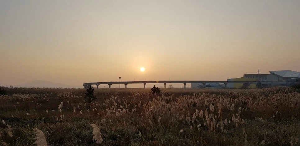 20181110_165736.jpg?type=w966