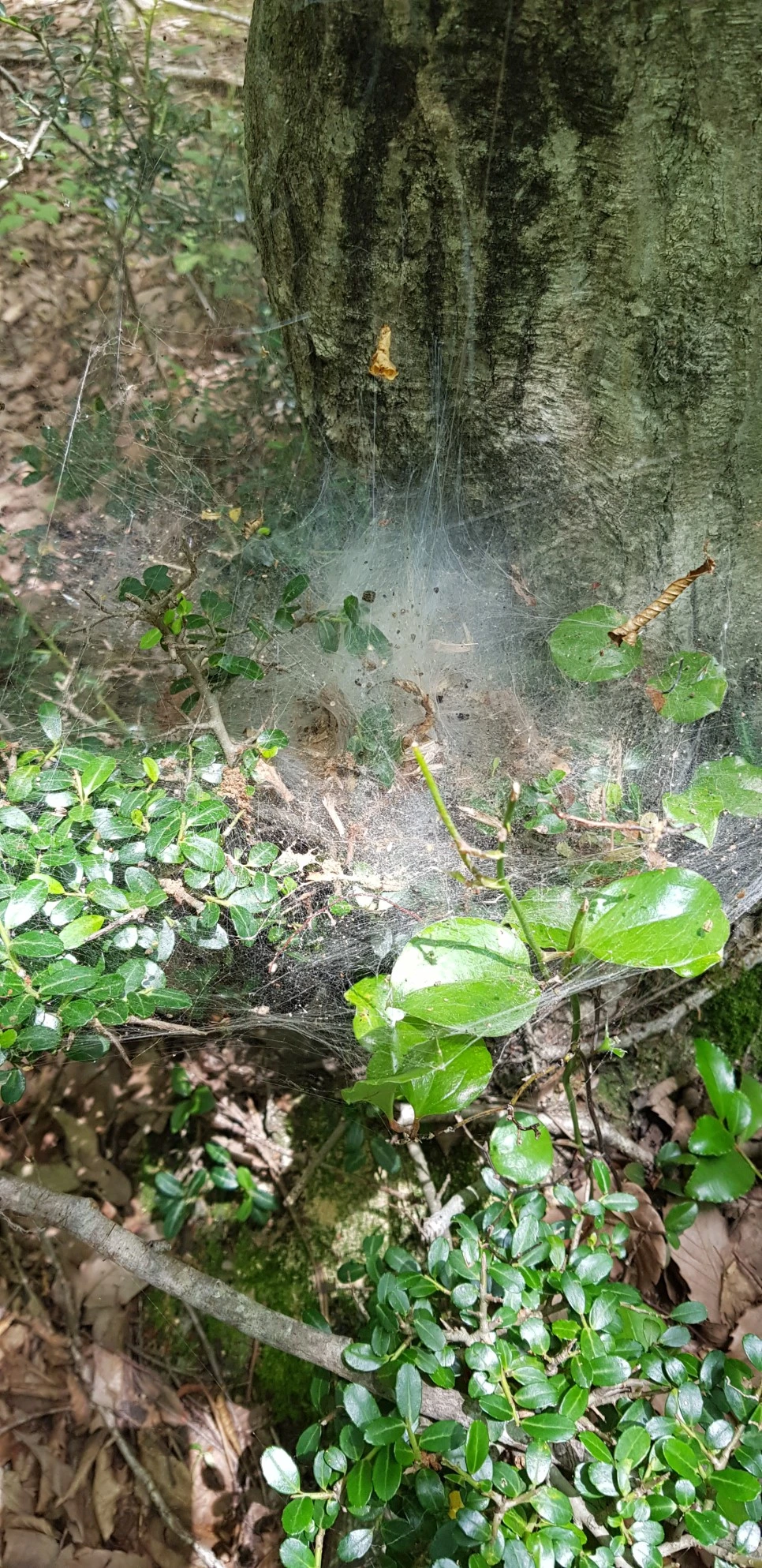 20180802_120408.jpg?type=w966