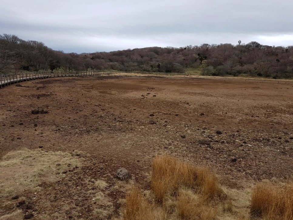 20161204_125910.jpg?type=w966