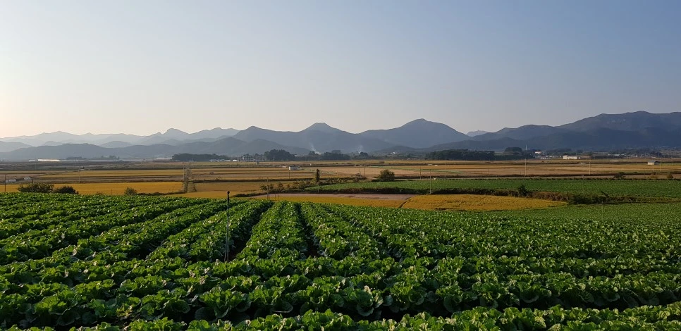 20181013_164504.jpg?type=w966