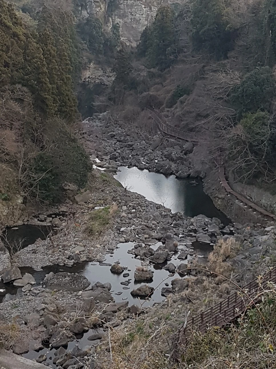 20170305_181741.jpg?type=w966