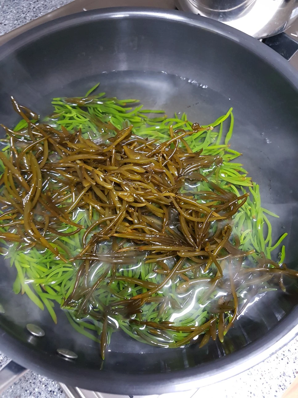 20170329_210146.jpg?type=w966