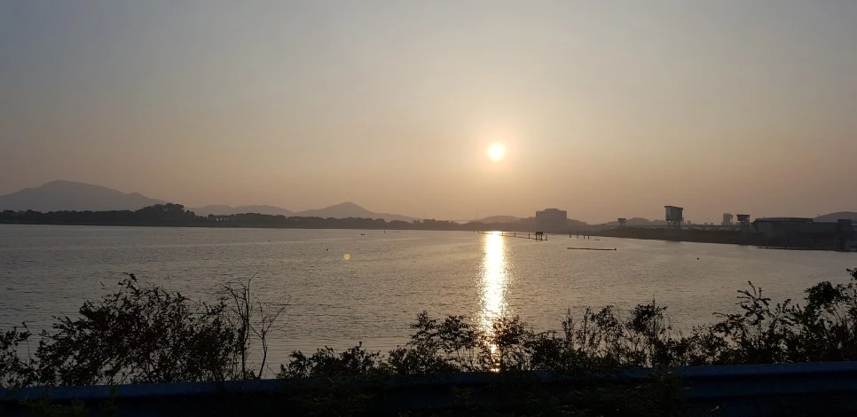 20181110_164831.jpg?type=w966