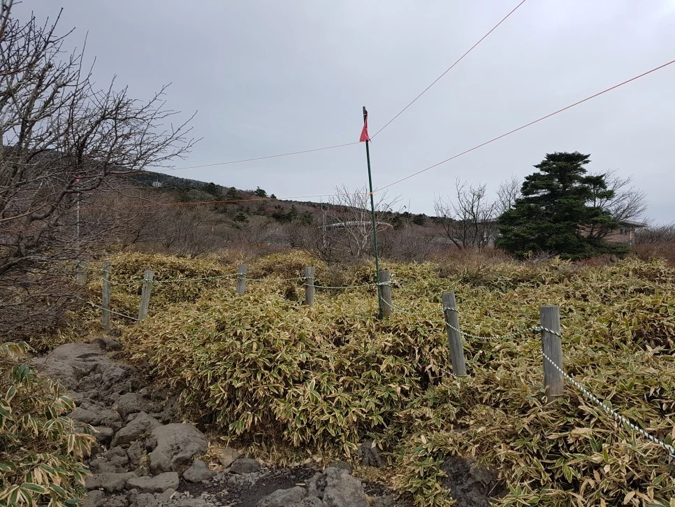 20161204_122611.jpg?type=w966