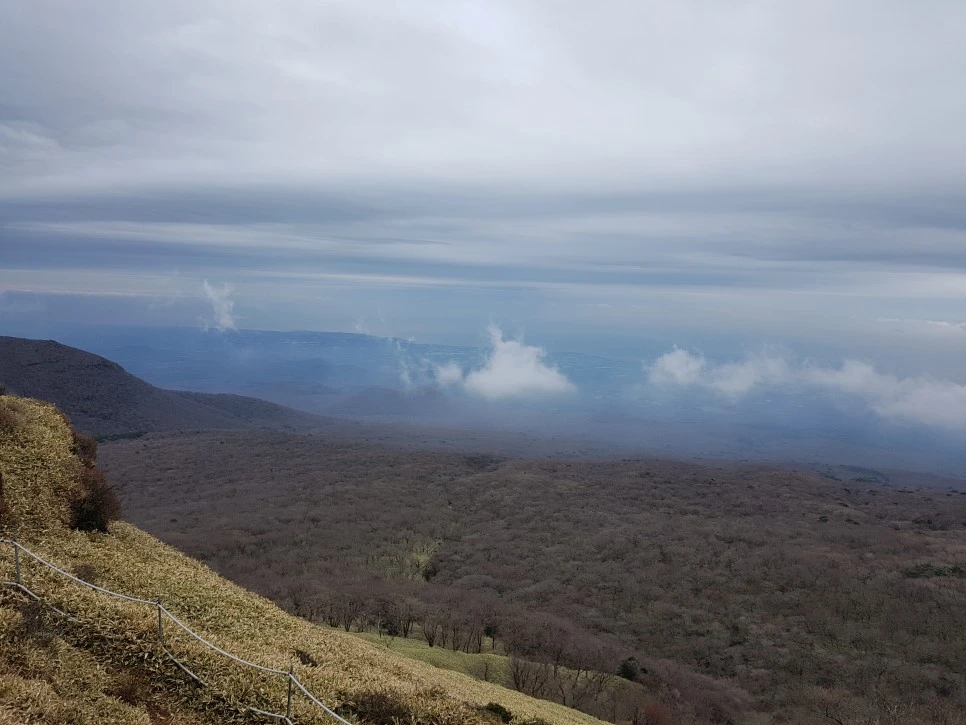 20161204_131335.jpg?type=w966